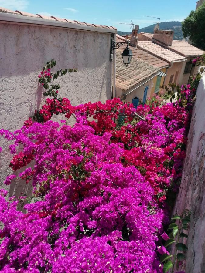 Beautiful Renovated Studio With View- Old Hyeres Luaran gambar
