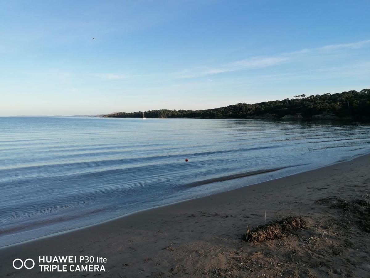 Beautiful Renovated Studio With View- Old Hyeres Luaran gambar